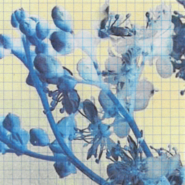 Léo La Nuit - Le Don Des Larmes | Knekelhuis (KH057) - 3 Léo La Nuit - Le Don Des Larmes | Knekelhuis (KH057) - 3