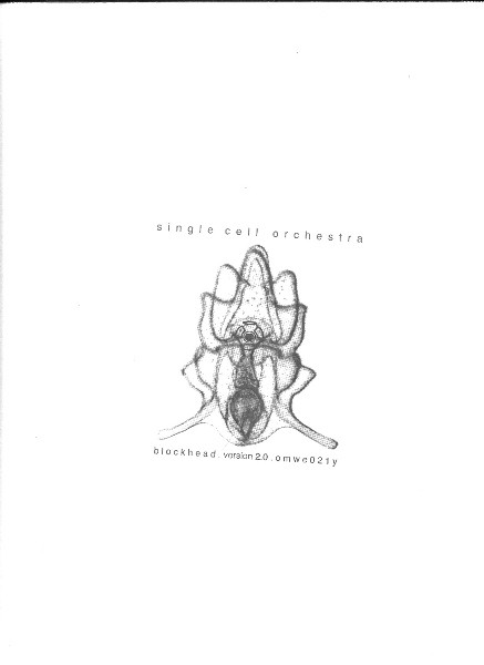 Single Cell Orchestra - Blockhead (Part Y) | OMW (Oxygen Music Works) (OMWE-021Y)