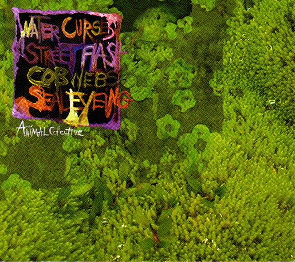 Animal Collective - Water Curses | Domino (RUG287CD) - main