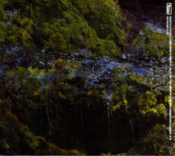 Animal Collective - Water Curses | Domino (RUG287CD) - 2