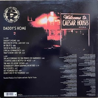 Big Daddy Kane - Daddy's Home | MCA Records (MCA 11102) - 2