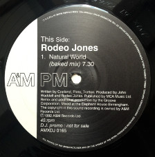 Rodeo Jones - Natural World (The Groove Corporation Remixes) | A&M PM (AMXDJ 0165) - 2
