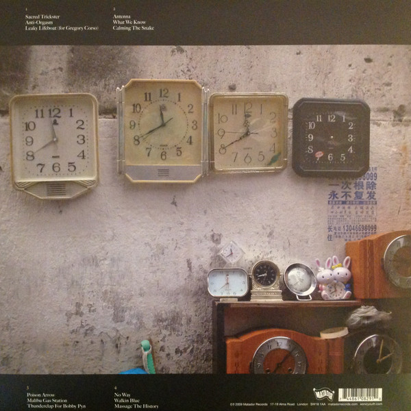 Sonic Youth - The Eternal | Matador (Ole 829-1) - 4