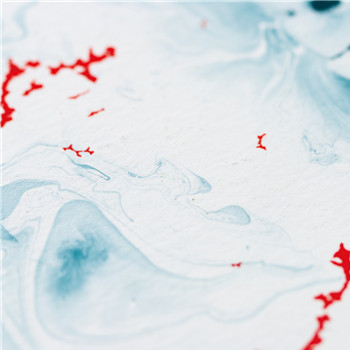 Primary Perception - Evidence Of A Primary Perception | SLOW LIFE (SL010LTD) - main