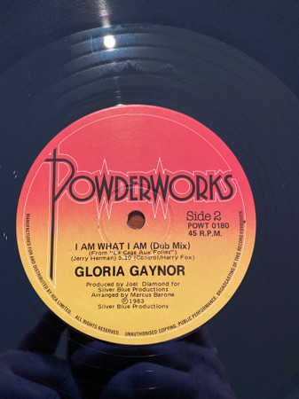 Gloria Gaynor - I Am What I Am | Powderworks (POWT 0180) - main