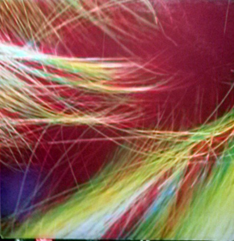 [a]pendics.shuffle - Smooth Hair EP | Proptronix (PROP 009) - 2