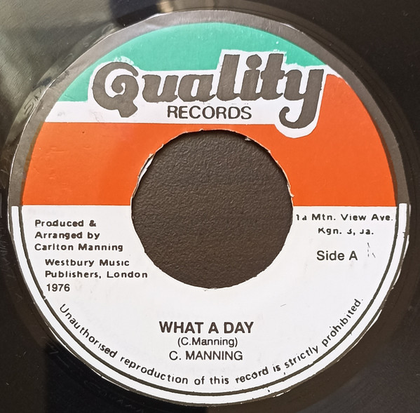 Carlton Manning - What A Day | Quality Records (none)