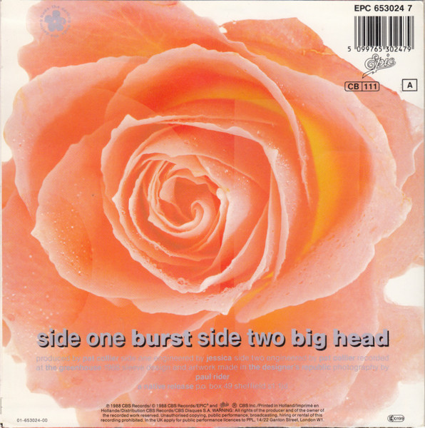 The Darling Buds - Burst | Epic (653024 7) - 2