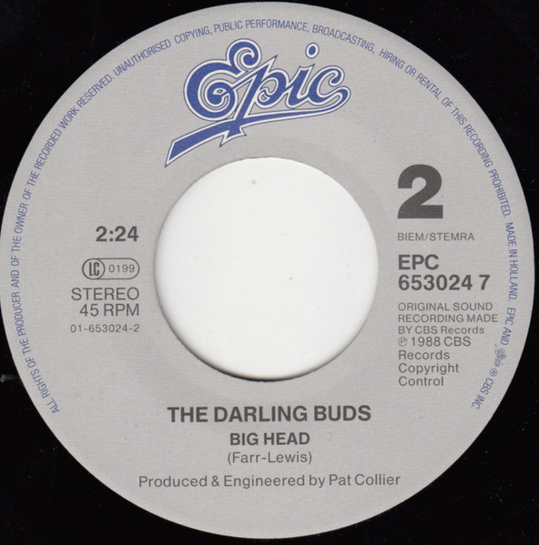 The Darling Buds - Burst | Epic (653024 7) - 4