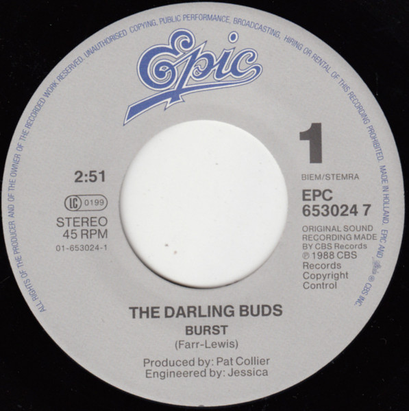 The Darling Buds - Burst | Epic (653024 7) - 3