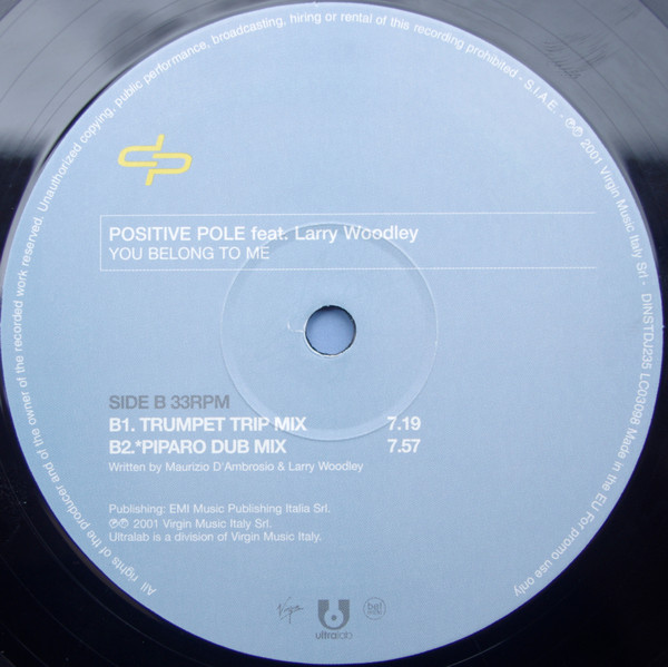 Positive Pole Feat. Larry Woodley - You Belong To Me | Virgin (DINSTDJ235) - 4