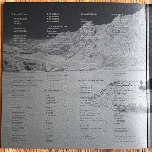 The Fuzz - Folding Story / 折叠故事 | Pelagic Records (PEL 246-V) - 4 The Fuzz - Folding Story / 折叠故事 | Pelagic Records (PEL 246-V) - 4