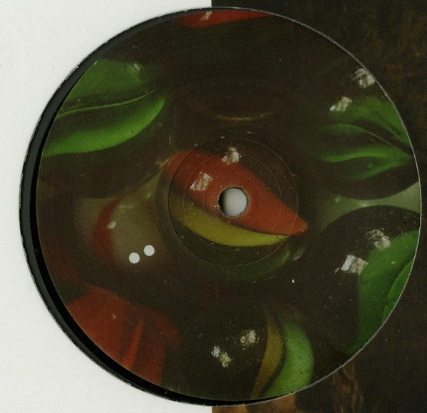 Matthias Vogt - Voyeur. | Blossom Kollektiv (BLK030) - main Matthias Vogt - Voyeur. | Blossom Kollektiv (BLK030) - main