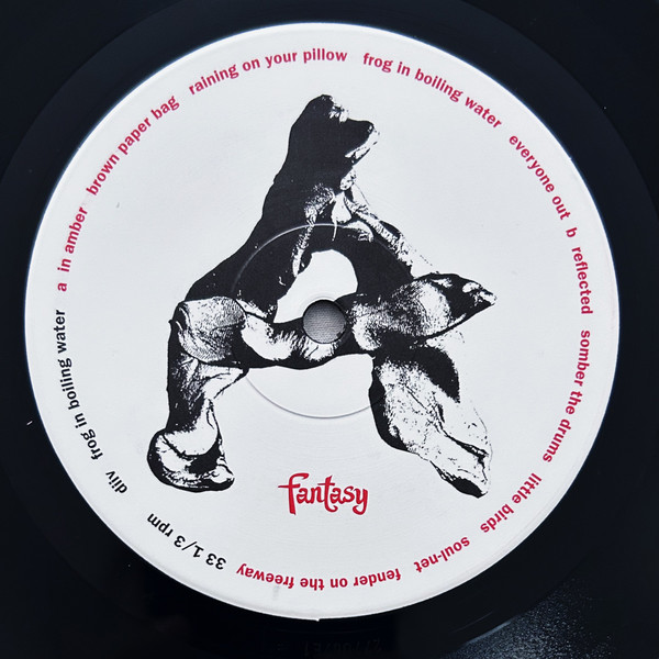 DIIV - Frog In Boiling Water [Vinyl] | Fantasy (FAN02346) - 4