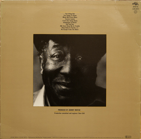 Muddy Waters - King Bee | Blue Sky (SKY 84918) - 2 Muddy Waters - King Bee | Blue Sky (SKY 84918) - 2