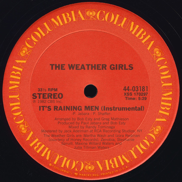 The Weather Girls - It's Raining Men (12") [Vinyl] | Columbia (44-03181) - 3