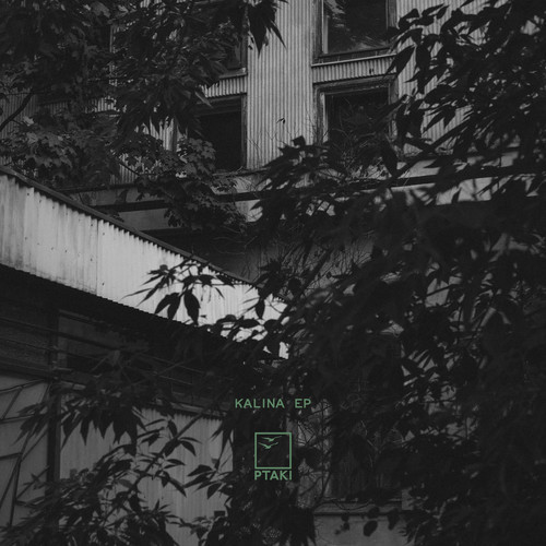 Ptaki - Kalina EP | Young Adults (YA-007) - main Ptaki - Kalina EP | Young Adults (YA-007) - main