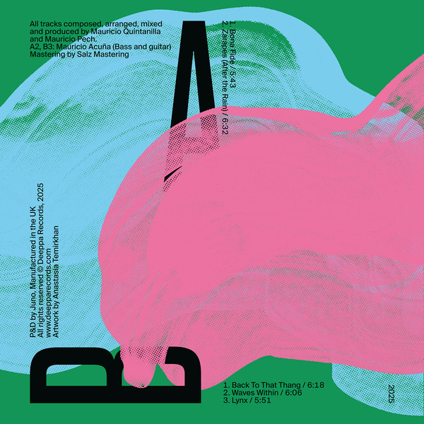 Luca Ferrand , Selva - Waves Within EP | Deeppa Records (DEEPPA13) - 2