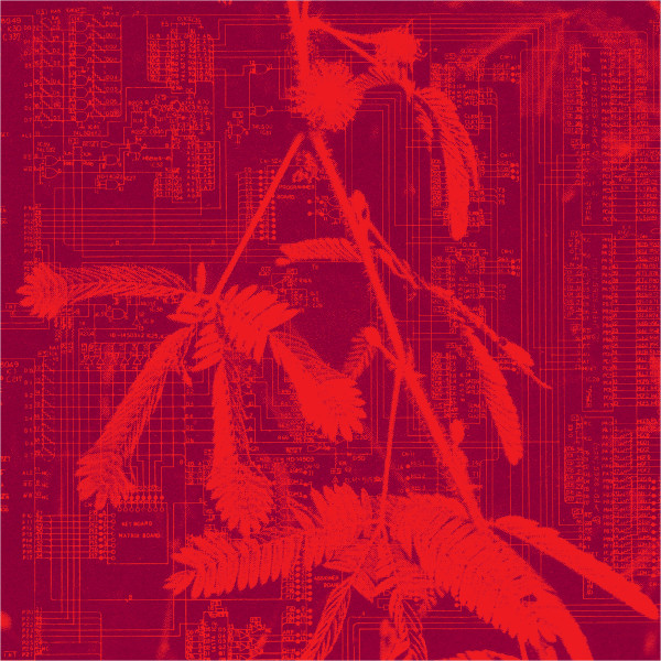 Hidden Horse - Incorporeal | Holuzam (ZAM035) Hidden Horse - Incorporeal | Holuzam (ZAM035)