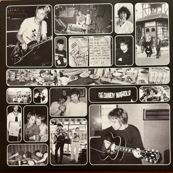 The Dandy Warhols - Thirteen Tales From Urban Bohemia 2LP | [PIAS] Recordings (PIASC1105DLP) - 4