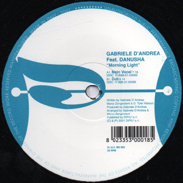 Gabriele D'Andrea Feat. Danusha - Morning Light | Bee's Nees (BN 003) - main