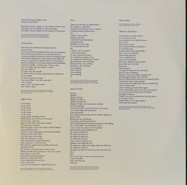 Dorothea Paas - Think Of Mist | Telephone Explosion Records (TER120) - 3