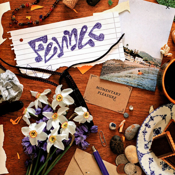Fennec - Momentary Pleasure | Studio Barnhus (BARN 117) - main Fennec - Momentary Pleasure | Studio Barnhus (BARN 117) - main