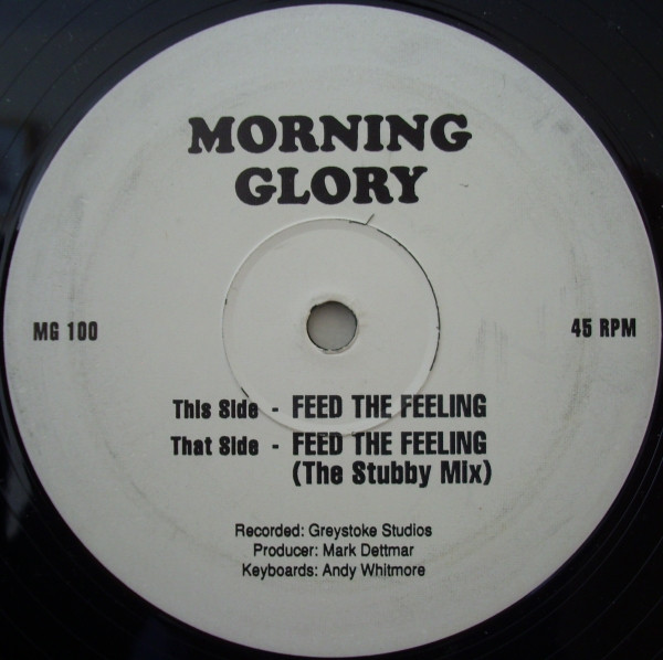 Morning Glory - Feed The Feeling | Primal Vinyl (MG 100)