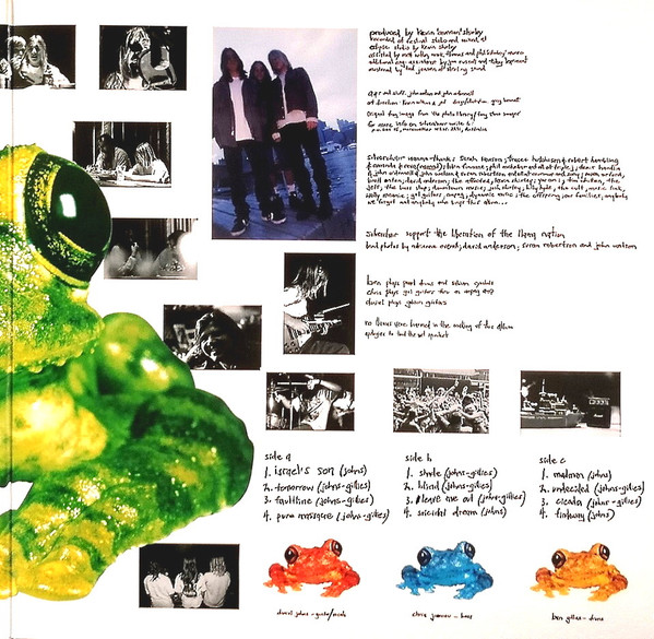 Silverchair - Frogstomp | Music On Vinyl (MOVLP2400) - 4