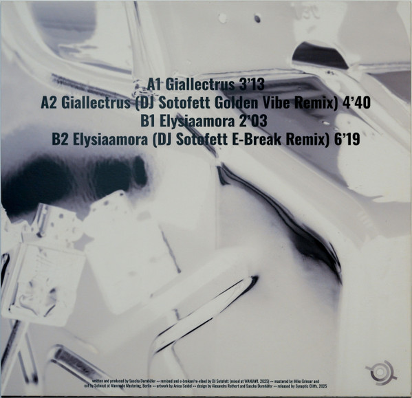 pdqb - Maximalism | Synaptic Cliffs (SC 017) - 2 pdqb - Maximalism | Synaptic Cliffs (SC 017) - 2