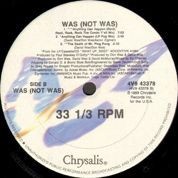 Was (Not Was) - Anything Can Happen | Chrysalis (4V9 43378)
