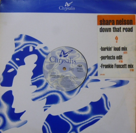 Shara Nelson - Down That Road | Chrysalis (SP 1672)