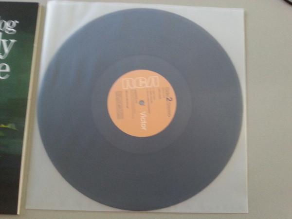 Gnidrolog - Lady Lake | Music On Vinyl (MOVLP1359) - 3 Gnidrolog - Lady Lake | Music On Vinyl (MOVLP1359) - 3