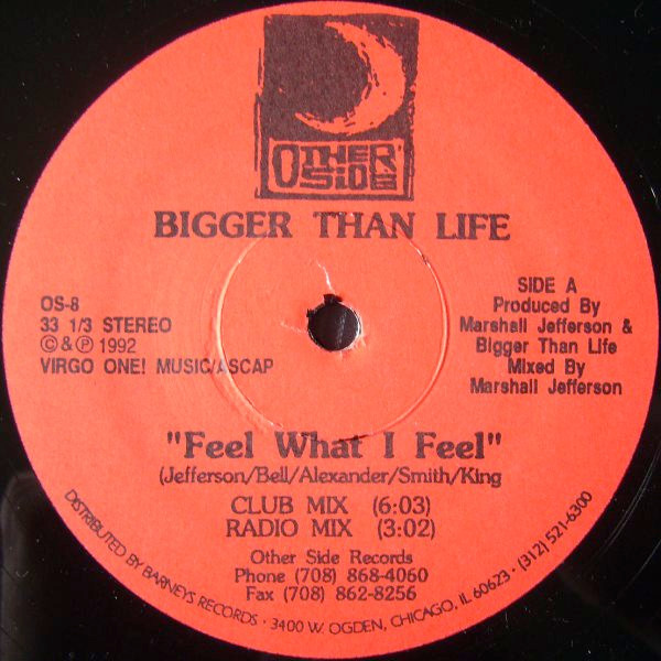 Bigger Than Life - Feel What I Feel | Other Side Records (OS-8) - main