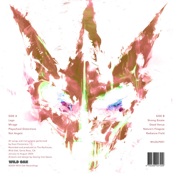 Gazing Into Space - Goatheads | Wild Oak Recordings (WILDLP001) - 2