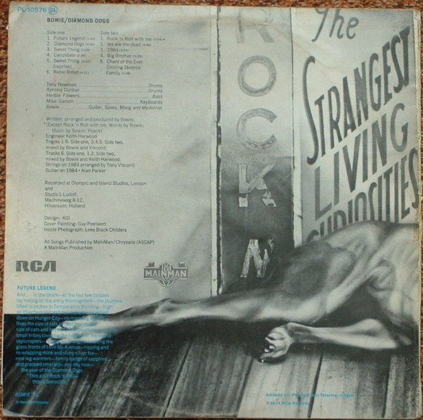 David Bowie - Diamond Dogs | RCA Victor (PL-10576) - main