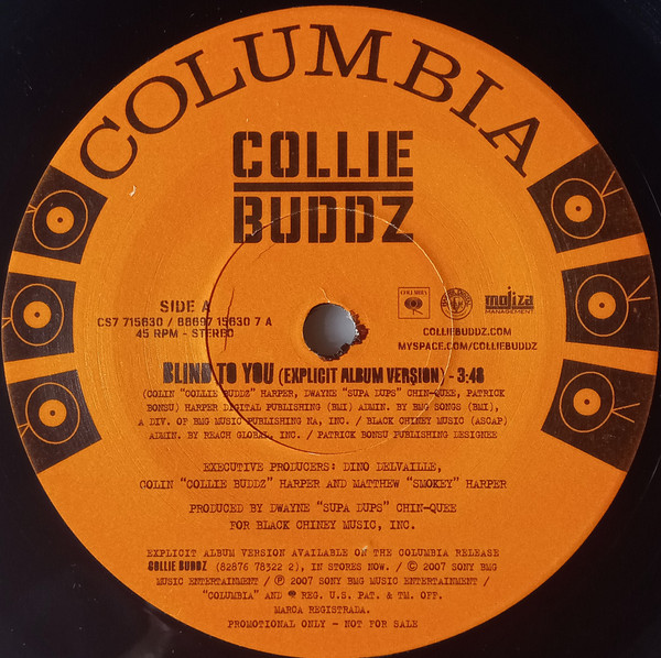Collie Buddz - Blind To You | Columbia (CS7 715630/88697 15630 7)