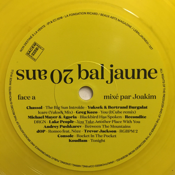 Joakim - Bal Jaune 20 Ans | Fondation d'Entreprise Ricard (LEBALJAUNE01) - 3