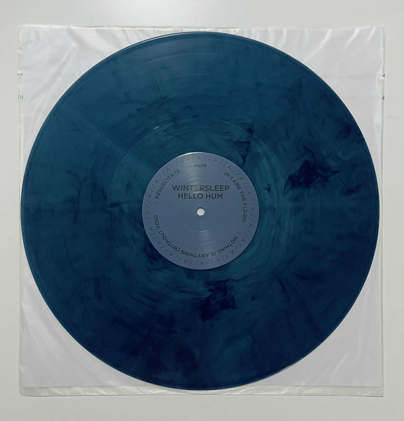 Wintersleep - Hello Hum | Dine Alone Records (DAV367) - 2