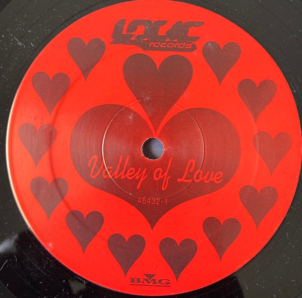 Thump'N'Johnson Featuring Ada Dyer - Valley Of Love | Logic Records (74321-46432-1) - 2