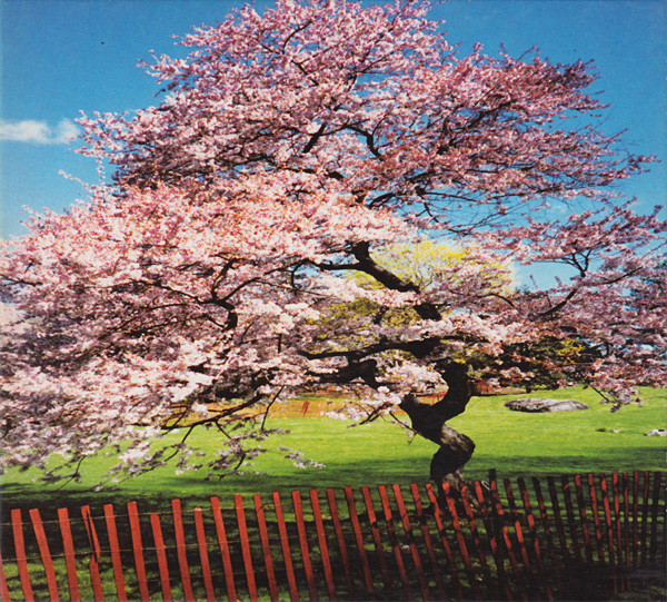 A Reminiscent Drive - Mercy Street | F Communications (F071CD)