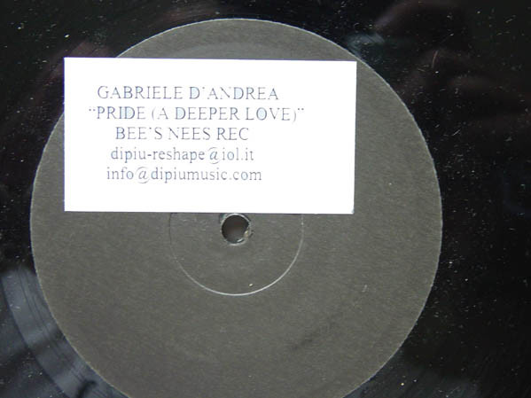 Gabriele D'Andrea - Pride (A Deeper Love) | Bee's Nees (DPU 1005) - main