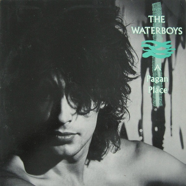 The Waterboys - A Pagan Place | Ensign (10.206353.35)