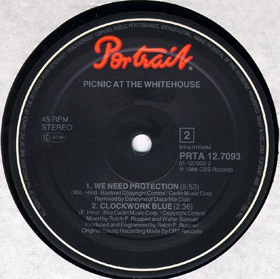 Picnic At The Whitehouse - East River (Extended Mix) | Portrait (PRTA 12.7093) - 3
