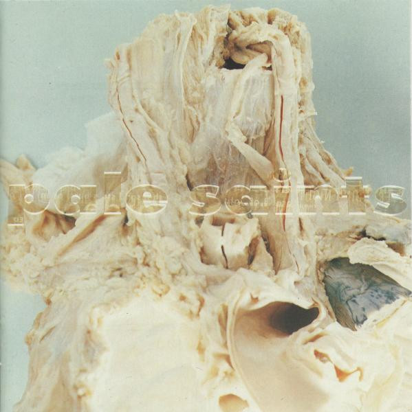 Pale Saints - In Ribbons | 4AD (CAD 2004)