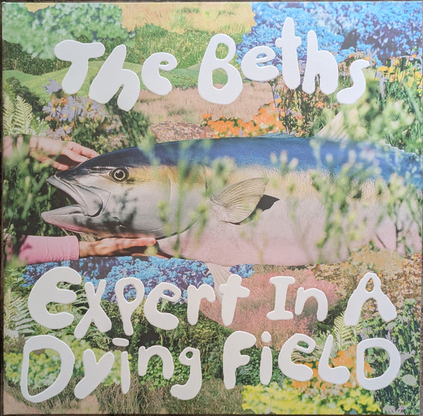 The Beths - Expert In A Dying Field | Carpark Records (CAK164) - main