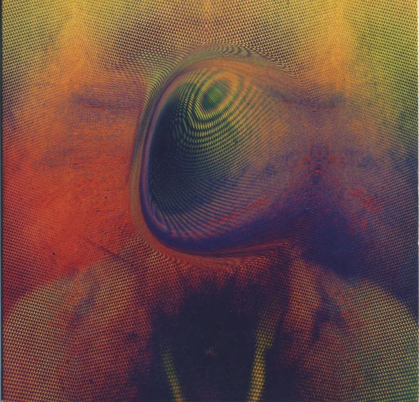 Young Magic - Melt | Carpark Records (CAK72P)