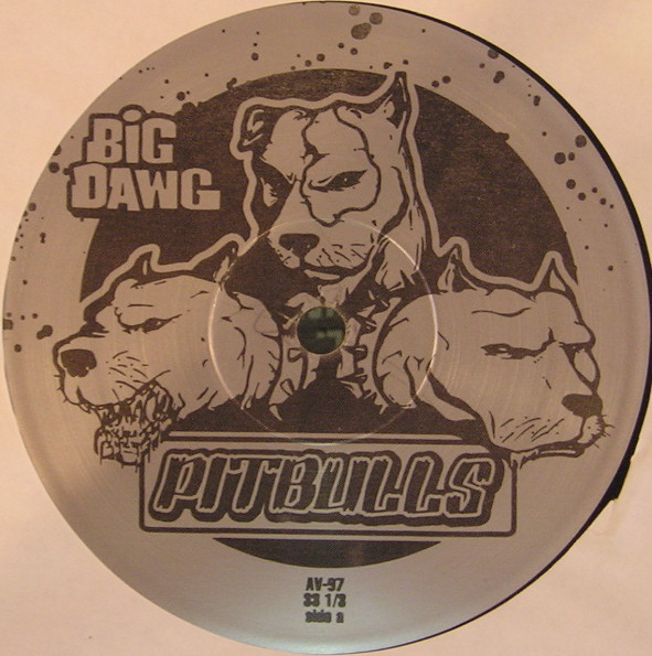 Big Kap & Fatman Scoop - Party Anthem | AV8 Records (AV97) - 2