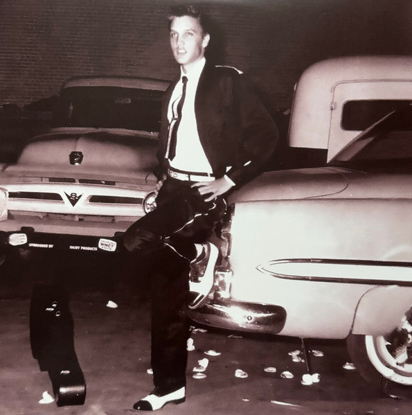 Elvis Presley - Elvis Styles | VPI (783.707) - 2 Elvis Presley - Elvis Styles | VPI (783.707) - 2