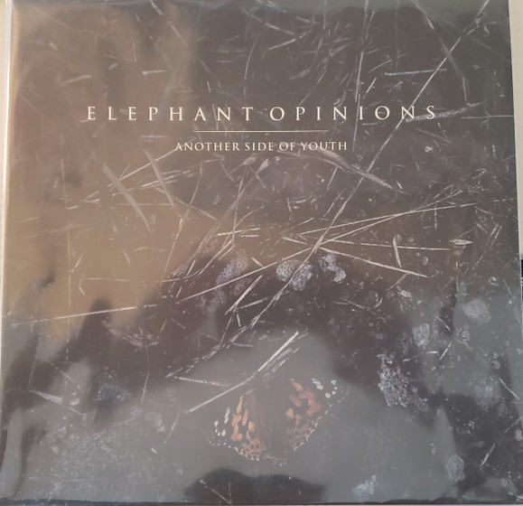 Elephant Opinions - Another Side Of Youth | Dingleberry Records (DBR 362)